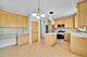 1793 Lanyon, Bartlett, IL 60103