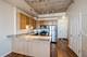 1464 S Michigan Unit 1008, Chicago, IL 60605