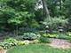 66 S 2nd, Lombard, IL 60148