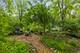 66 S 2nd, Lombard, IL 60148