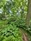 66 S 2nd, Lombard, IL 60148