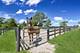 27802 N Owens, Mundelein, IL 60060