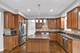 315 E Madison, Lombard, IL 60148
