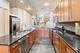 902 W Newport Unit 2, Chicago, IL 60657