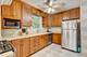 832 Sylviawood, Park Ridge, IL 60068