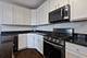 4541 S Evans Unit 2, Chicago, IL 60653