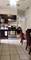 4751 S Hoyne, Chicago, IL 60609