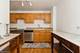 4250 N Marine Unit 1511, Chicago, IL 60613