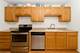 4250 N Marine Unit 1511, Chicago, IL 60613