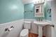 1113 E Randville, Palatine, IL 60074