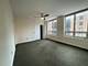 1111 S Wabash Unit 711, Chicago, IL 60605