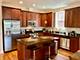 1025 W Monroe Unit 4W, Chicago, IL 60607