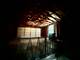 3023 N Windsor, Arlington Heights, IL 60004