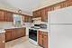 216 S Michigan, Addison, IL 60101