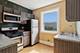 5 Fillmore Unit 3, Oak Park, IL 60304