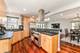 4615 N Maria, Chicago, IL 60656