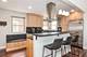 4615 N Maria, Chicago, IL 60656