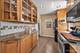 7941 W Metropole, Elmwood Park, IL 60707