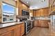 7941 W Metropole, Elmwood Park, IL 60707