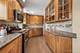 7941 W Metropole, Elmwood Park, IL 60707
