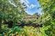 1730 Elm, Northbrook, IL 60062