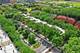1405 S Plymouth, Chicago, IL 60605