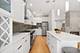 1405 S Plymouth, Chicago, IL 60605