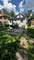 1130 N Hamlin, Chicago, IL 60651