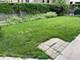 328 Elgin Unit COACHHOUSE, Forest Park, IL 60130