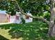 3132 W 101st, Evergreen Park, IL 60805