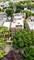 3039 N Troy Unit 2W, Chicago, IL 60618