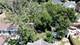 11941 S Lasalle, Chicago, IL 60628