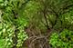 5511 Greenview, Oakwood Hills, IL 60013