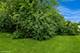 5511 Greenview, Oakwood Hills, IL 60013