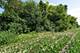 5511 Greenview, Oakwood Hills, IL 60013