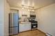 413 Home Unit 1A, Oak Park, IL 60302