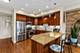 4635 N Malden Unit 3S, Chicago, IL 60640