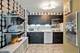 4250 N Marine Unit 2913, Chicago, IL 60613