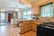 7250 S Wood, Chicago, IL 60636