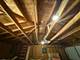 8225 S Wentworth, Chicago, IL 60620