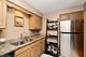 702 S Lytle Unit 2N, Chicago, IL 60607