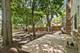 621 E Cunningham, Palatine, IL 60074