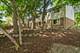621 E Cunningham, Palatine, IL 60074