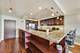 1850 N Clark Unit 1205, Chicago, IL 60614