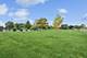 7818 N Oleander, Niles, IL 60714