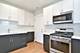 225B Washington Unit 2, Oak Park, IL 60302