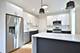 225B Washington Unit 2, Oak Park, IL 60302