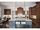 2248 N Orchard, Chicago, IL 60614
