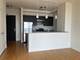225 N Columbus Unit 5502, Chicago, IL 60601