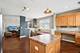 10201 Camden Unit 1, Bridgeview, IL 60455